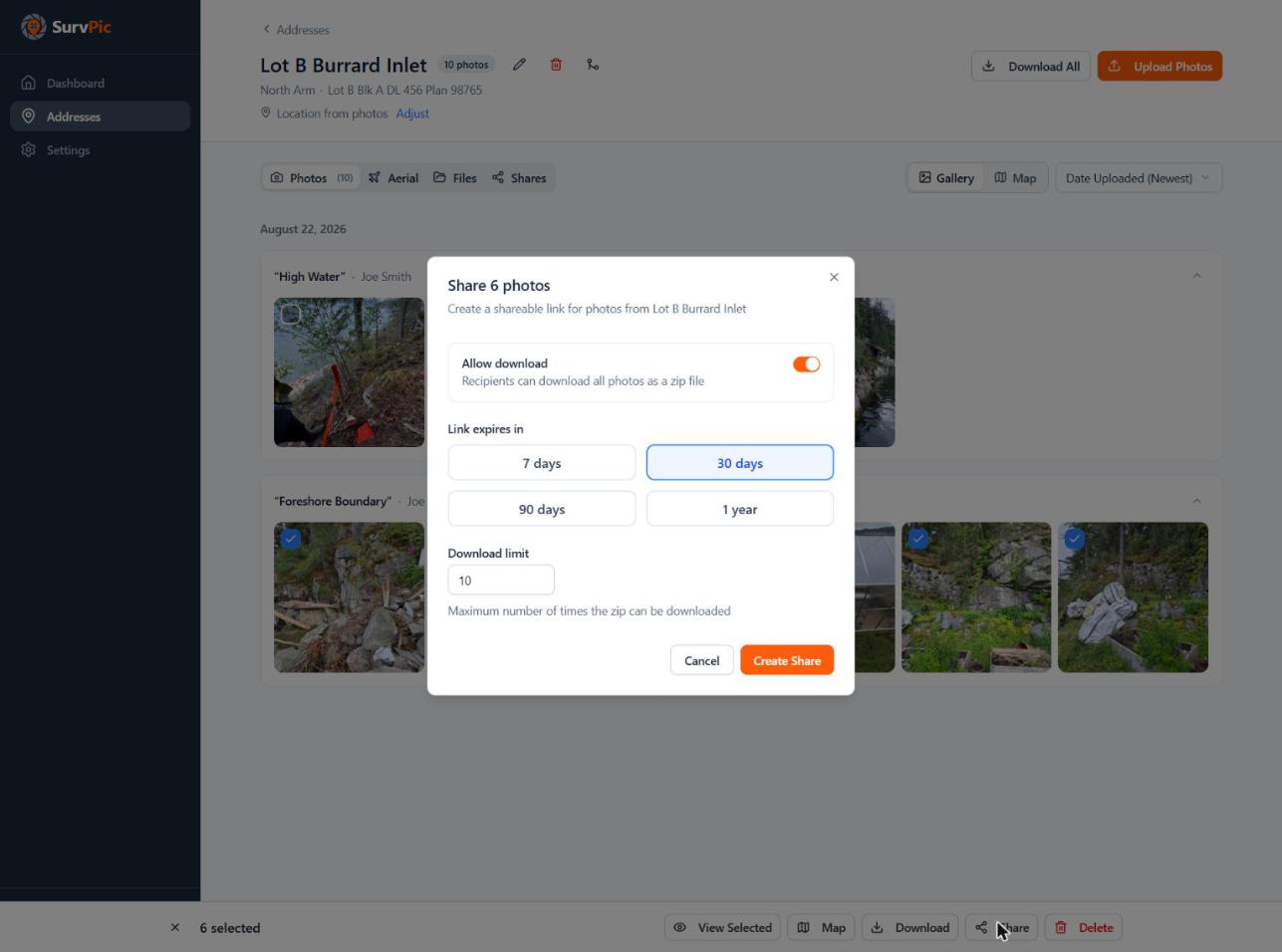 Share dialog — allow download, expiry, download limit